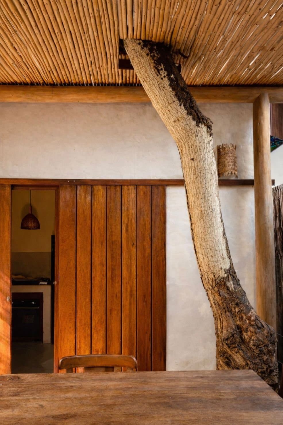 Tronco de árvore atravessando o telhado de varas, dentro da casa